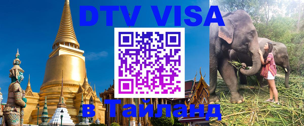 Оформление DTV визы под ключ: стоимость и тарифы, только загранпаспорт - 